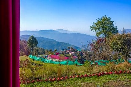 Kings Paradise Resort